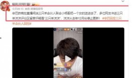 卓伟爆料小杨哥视频完整版,小杨哥视频完整版事件始末深度剖析