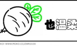 萝卜工作室最新爆料,最新爆料背后的故事与真相